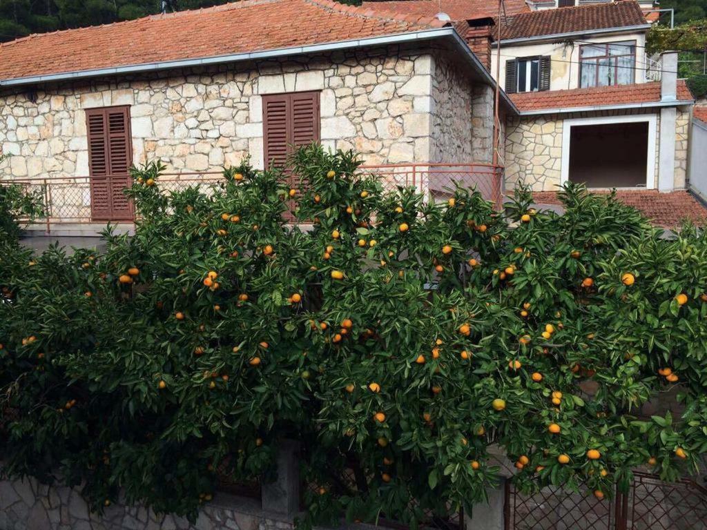 Holiday House With A Parking Space Svirce, Hvar - 17682 Vrbanj Ngoại thất bức ảnh